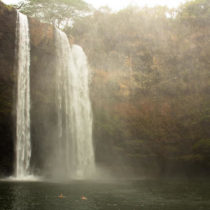 Kaua’i Coffee Tour: Waimea and Hanapepe (Part 1)